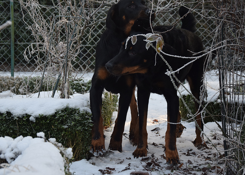 Mutter und Sohn verstehen sich.