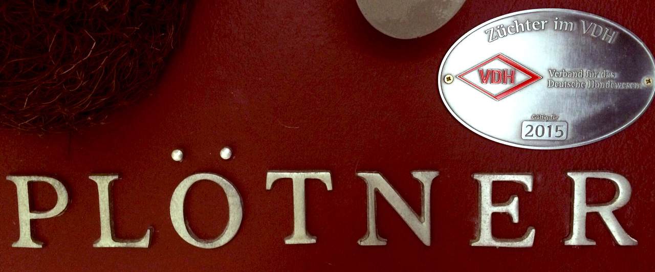 Mitglied im VDH 2015.
