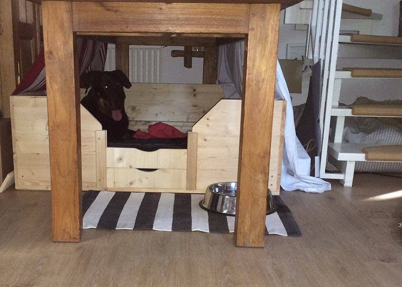 Die H&ooml;hle ist umgezogen auf neu verlegtes Klick Vinyl.