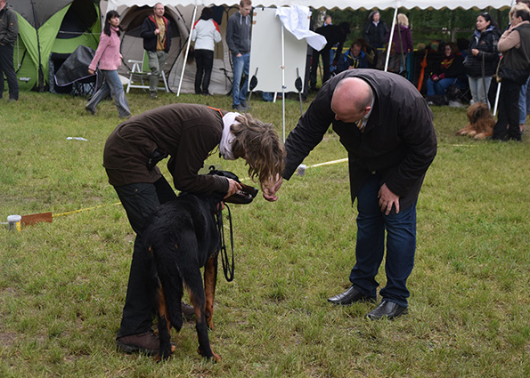 Tipo lässt seine Zähne dem Richter zeigen.
