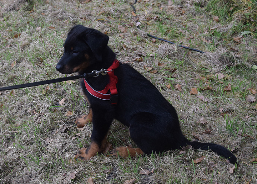 Erster Besuch im Wildpark.